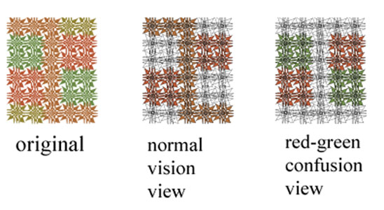 色覚正常の場合と赤緑色覚異常の場合の見え方の比較図