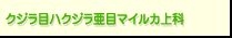 NWڃnNWڃ}CJ
